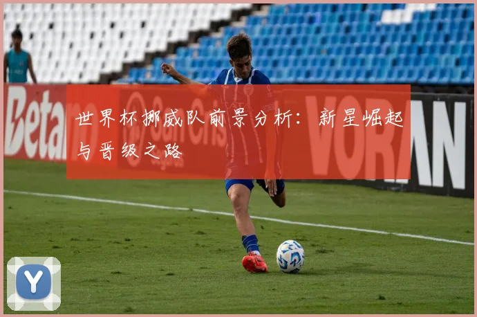 世界杯挪威队前景分析：新星崛起与晋级之路