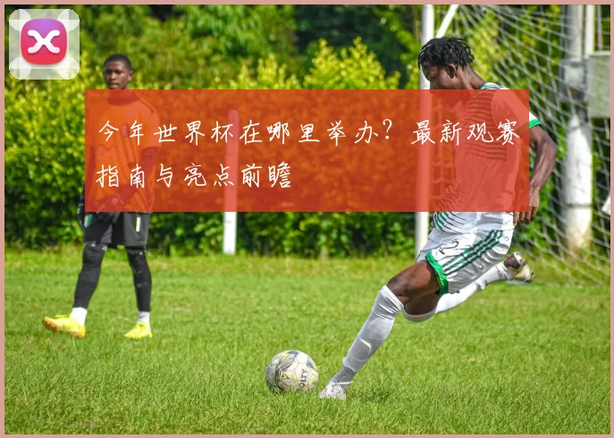 今年世界杯在哪里举办？最新观赛指南与亮点前瞻