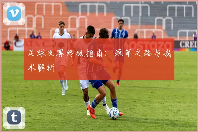 足球决赛终极指南：冠军之路与战术解析