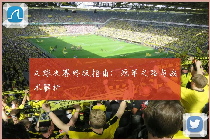 足球决赛终极指南：冠军之路与战术解析