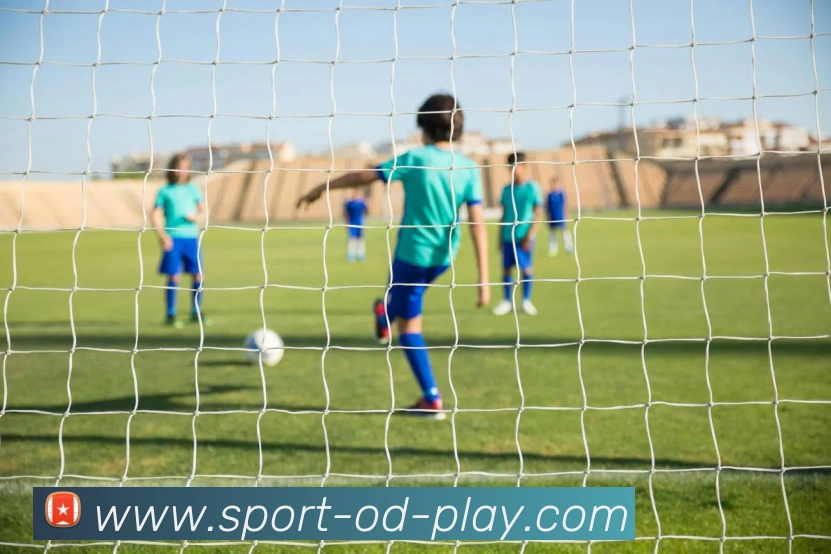 OD体育官方网站sportodplay.com平台生态图